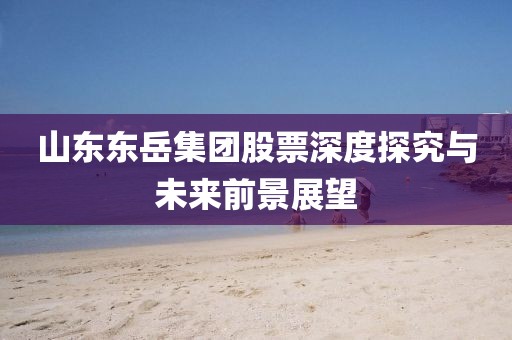 山东东岳集团股票深度探究与未来前景展望