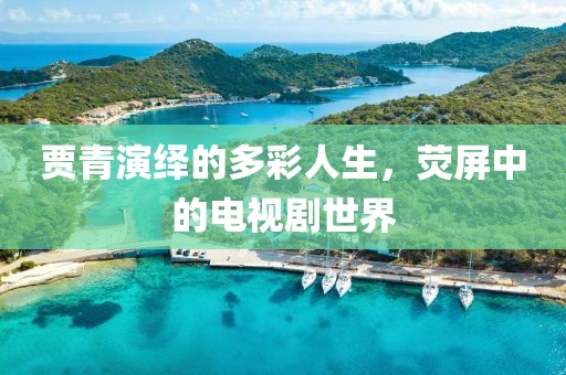 贾青演绎的多彩人生，荧屏中的电视剧世界