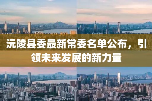 沅陵县委最新常委名单公布，引领未来发展的新力量