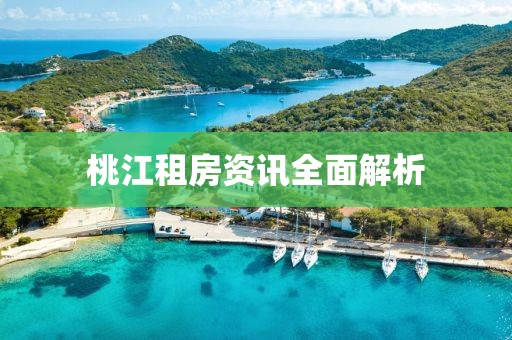 桃江租房资讯全面解析