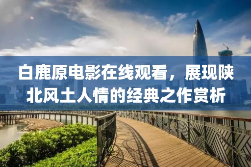 白鹿原电影在线观看，展现陕北风土人情的经典之作赏析