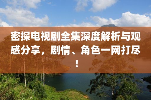 密探电视剧全集深度解析与观感分享，剧情、角色一网打尽！