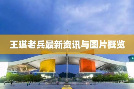 王琪老兵最新资讯与图片概览