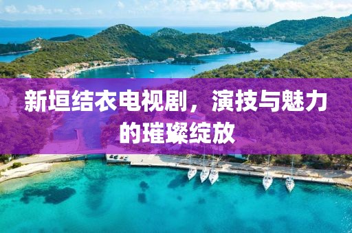 新垣结衣电视剧，演技与魅力的璀璨绽放
