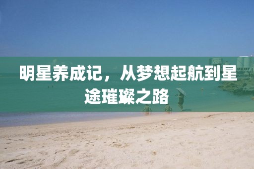 明星养成记，从梦想起航到星途璀璨之路