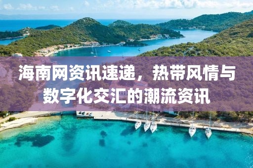 海南网资讯速递，热带风情与数字化交汇的潮流资讯