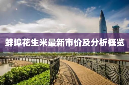 蚌埠花生米最新市价及分析概览