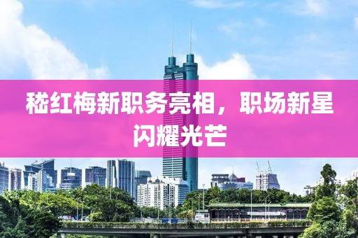 嵇红梅新职务亮相，职场新星闪耀光芒
