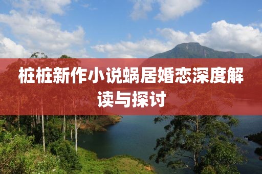 桩桩新作小说蜗居婚恋深度解读与探讨