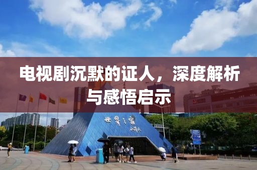 电视剧沉默的证人，深度解析与感悟启示
