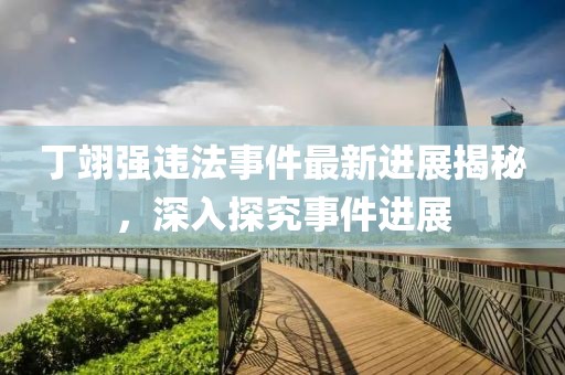 丁翊强违法事件最新进展揭秘，深入探究事件进展