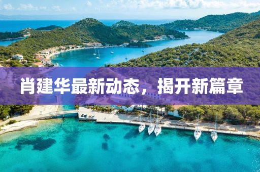 肖建华最新动态，揭开新篇章