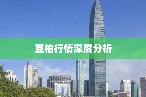 豆柏行情深度分析