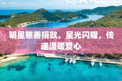 明星慈善捐款，星光闪耀，传递温暖爱心