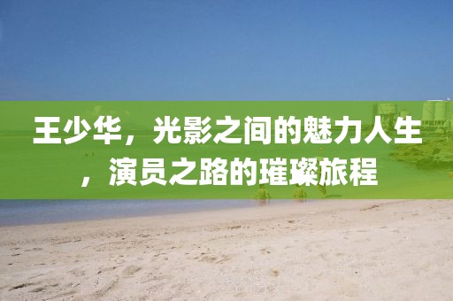 王少华，光影之间的魅力人生，演员之路的璀璨旅程