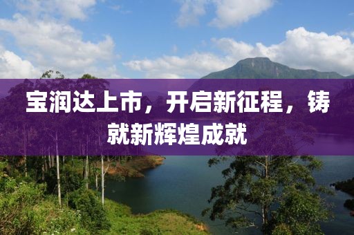 宝润达上市，开启新征程，铸就新辉煌成就