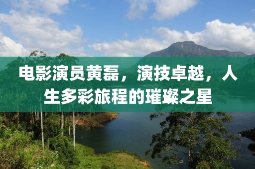电影演员黄磊，演技卓越，人生多彩旅程的璀璨之星