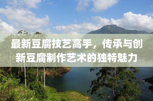 最新豆腐技艺高手，传承与创新豆腐制作艺术的独特魅力