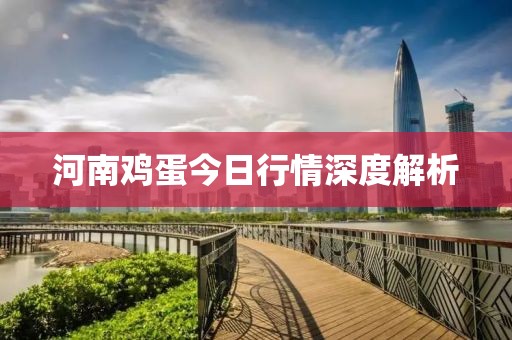河南鸡蛋今日行情深度解析