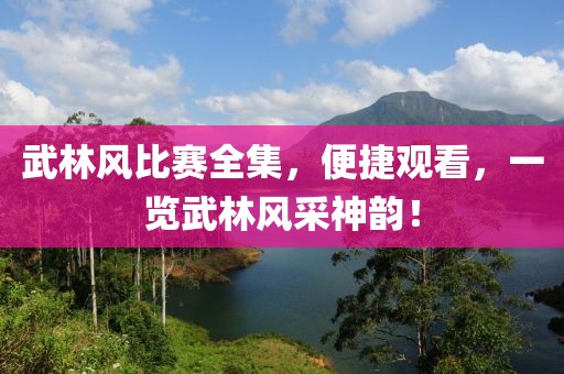 武林风比赛全集，便捷观看，一览武林风采神韵！