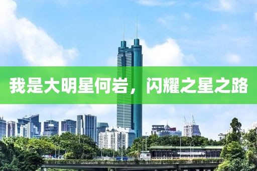 我是大明星何岩，闪耀之星之路