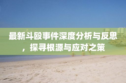 最新斗殴事件深度分析与反思，探寻根源与应对之策