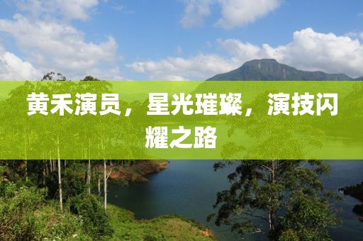 黄禾演员，星光璀璨，演技闪耀之路