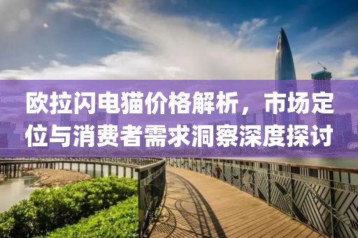 欧拉闪电猫价格解析，市场定位与消费者需求洞察深度探讨
