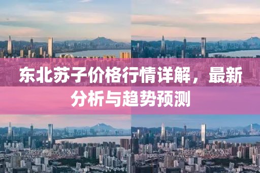 东北苏子价格行情详解，最新分析与趋势预测