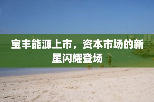 宝丰能源上市，资本市场的新星闪耀登场
