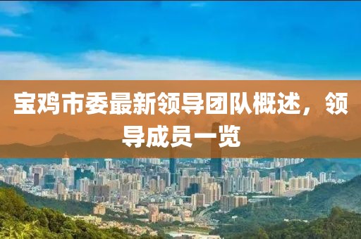 宝鸡市委最新领导团队概述，领导成员一览