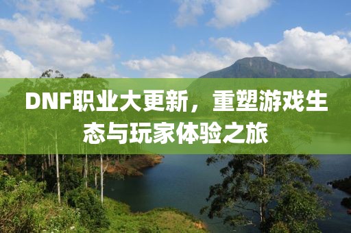 DNF职业大更新，重塑游戏生态与玩家体验之旅