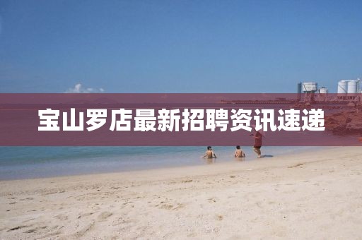 宝山罗店最新招聘资讯速递