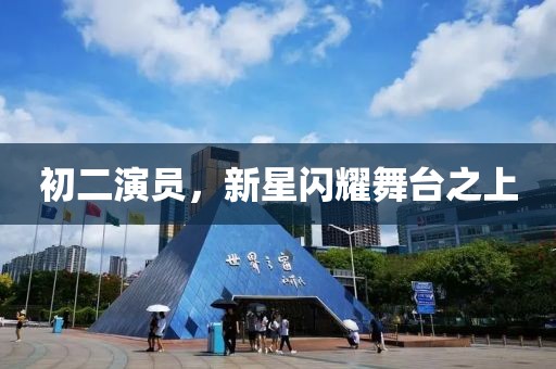 初二演员，新星闪耀舞台之上