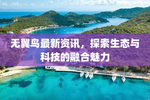 无翼鸟最新资讯，探索生态与科技的融合魅力