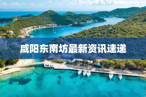 咸阳东南坊最新资讯速递