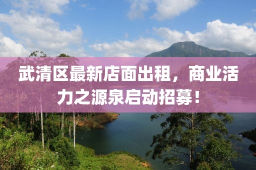 武清区最新店面出租，商业活力之源泉启动招募！