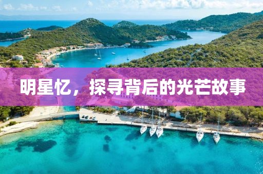 明星忆，探寻背后的光芒故事