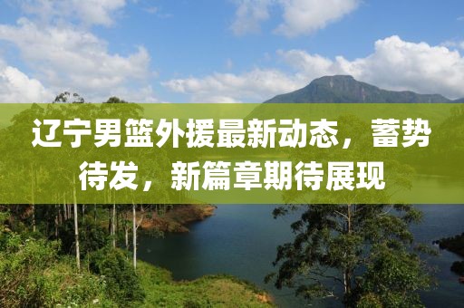 辽宁男篮外援最新动态，蓄势待发，新篇章期待展现