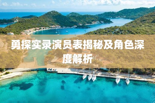 勇探实录演员表揭秘及角色深度解析
