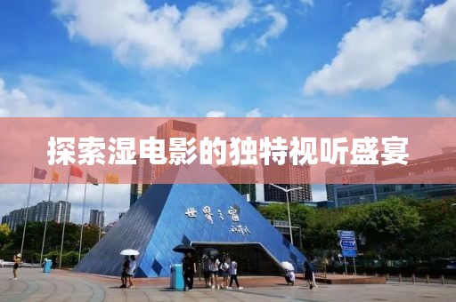 探索湿电影的独特视听盛宴
