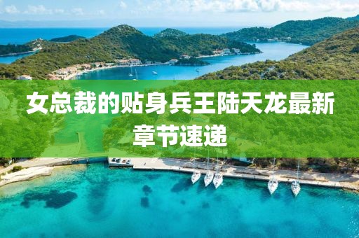 女总裁的贴身兵王陆天龙最新章节速递