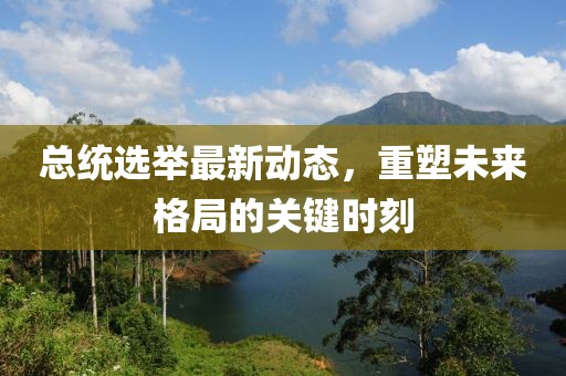 总统选举最新动态，重塑未来格局的关键时刻