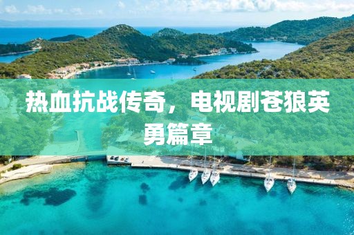 热血抗战传奇，电视剧苍狼英勇篇章