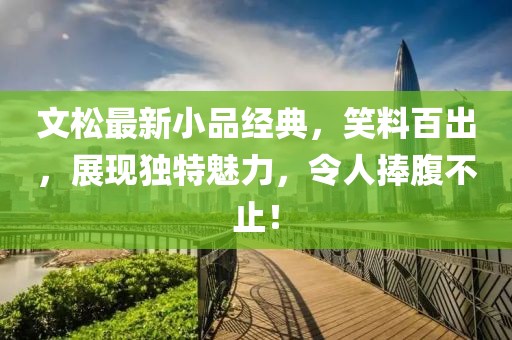 文松最新小品经典，笑料百出，展现独特魅力，令人捧腹不止！