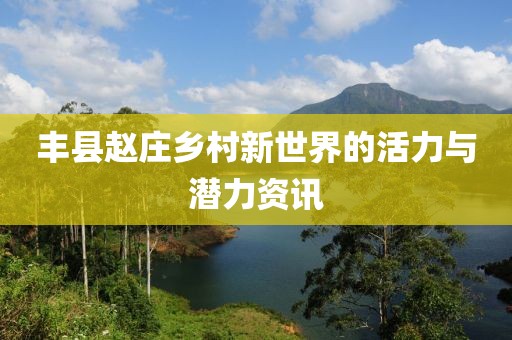 丰县赵庄乡村新世界的活力与潜力资讯