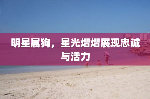 明星属狗，星光熠熠展现忠诚与活力