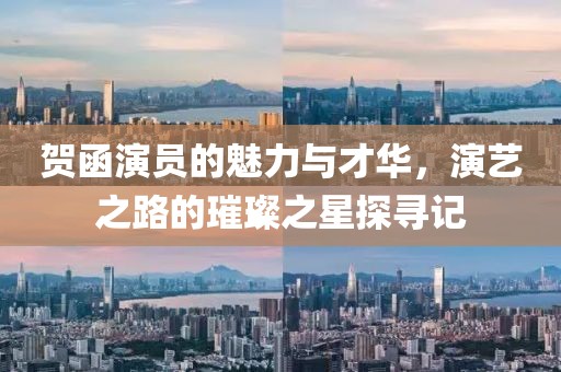 贺函演员的魅力与才华，演艺之路的璀璨之星探寻记