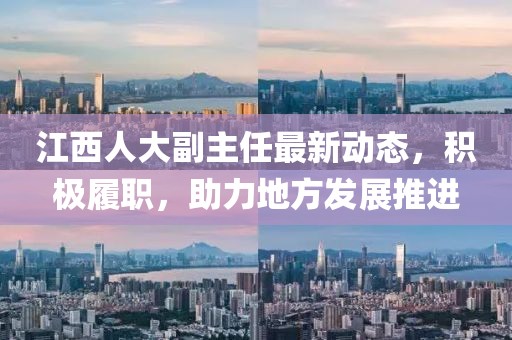 江西人大副主任最新动态，积极履职，助力地方发展推进