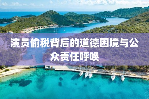 演员偷税背后的道德困境与公众责任呼唤